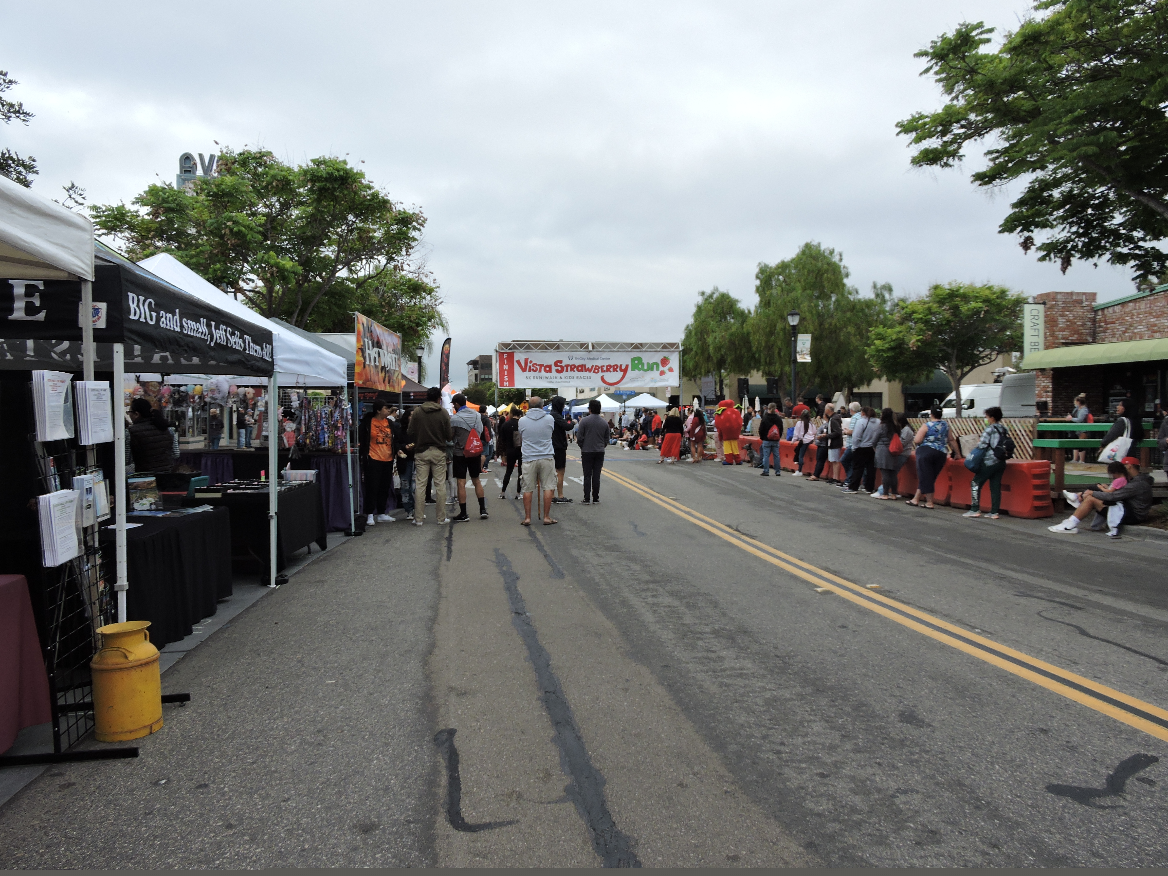 2022 STRAWBERRY FESTIVAL (54)